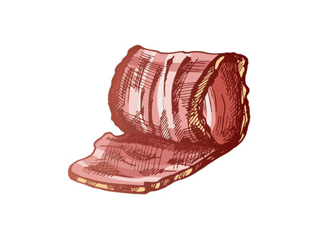 Hand-drawn colored vector sketch of hamon or pork meat, ham slice. Italian prosciutto vintage sketch. Butcher shop. Great for label, restaurant menu. Engraved image.のイラスト素材