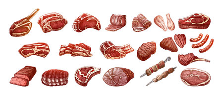 Set of hand-drawn colored sketches of different types of meat, steaks, chicken, kebabs, bacon, tenderloin, pork, beef, ham, barbecue. Vintage illustration.のイラスト素材
