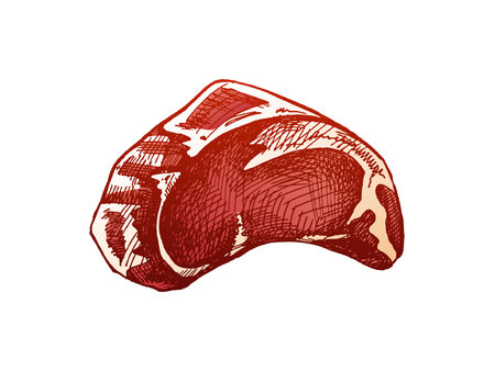 Organic food. Hand-drawn colored vector sketch of beef steak, piece of meat. Doodle vintage illustration. Decorations for the menu of cafes. Engraved image.のイラスト素材