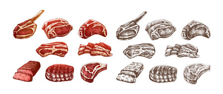 Set of hand-drawn colored and monochrome sketches of meat pieces, beef steak, ham, pork. Fresh meat products. For the design of menu, butcher shop. Vintage engraved.のイラスト素材