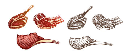 Hand-drawn colored and monochrome vector sketches of pork, beef, lamb ribs, piece of meat, set. Doodle vintage illustration. Decorations for the menu. Engraved image.のイラスト素材