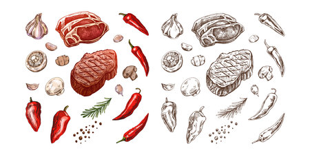 Set of hand-drawn colored and monochrome sketches of barbecue elements. For the design of the menu of restaurants and cafes, grilled food. Pieces of meat and vegetables with seasonings.のイラスト素材