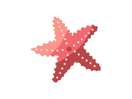 Hand-drawn colored marine Starfish in flat style, ocean aquatic underwater vector. Vector illustration on white background.のイラスト素材