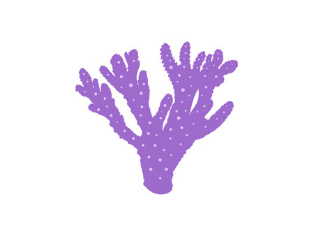 Hand-drawn flat coral illustration. Underwater tropical reef element. Vector design isolated on white background.のイラスト素材