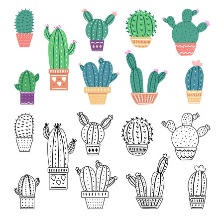 A set of hand-drawn outline and colored vector cacti isolated on white background. Doodle and flat style illustrations of spiny plants, blooming cactus, succulent plants in pots. Home plants.のイラスト素材
