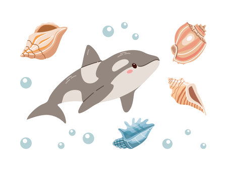 Sea animals. Hand-drawn sea killer whale and shells. Vector doodle cartoon set of marine life objects. Flat illustration on white background. Collection for stickers.のイラスト素材