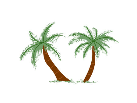 Cute hand drawn palm tree. Flat vector illustration isolated on white background. Doodle drawing.のイラスト素材