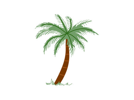 Cute hand drawn palm tree. Flat vector illustration isolated on white background. Doodle drawing.のイラスト素材