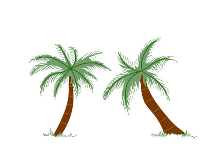 Cute hand drawn palm tree. Flat vector illustration isolated on white background. Doodle drawing.のイラスト素材