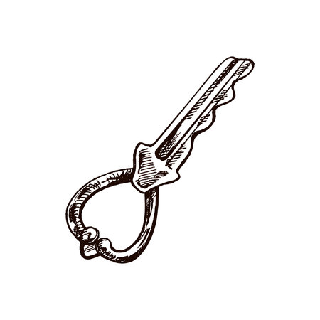 Hand-drawn vintage decorative keys sketches with intricate forging. Ink and pen drawing illustration, keys on white background.のイラスト素材