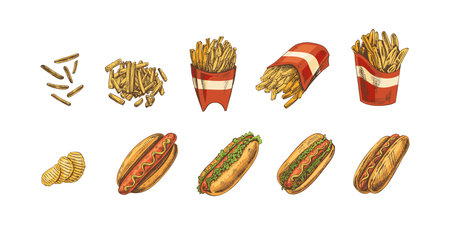 Hand-drawn colored sketches of street food, takeaway food, fast food, junk food. Potato French fries, chips, hot dogs set. Great for menu.のイラスト素材