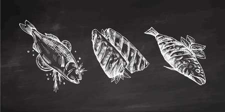 Hand-drawn monochrome vector sketch of barbecue fish. Doodle vintage illustration on chalkboard background. Decorations for the menu of cafes. Engraved image.のイラスト素材
