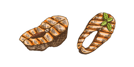 Hand-drawn colored vector sketch of pieces of barbecue salmon steaks. Doodle vintage illustration. Decorations for the menu. Engraved image.のイラスト素材