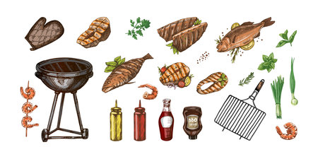 A set of hand-drawn colored sketches of barbecue and picnic elements, barbecue grill, tools, grilled fish, fish steaks. For the design of menu of cafes. Doodle vintage illustration.のイラスト素材