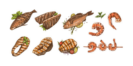 Hand-drawn colored vector sketch of barbecue fish and pieces of barbecue salmon steaks, prawns, shrimps. Doodle vintage illustration. Decorations for the menu of cafes and labels.のイラスト素材