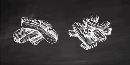 Hand-drawn monochrome vector sketch set of barbecue ribs. Doodle vintage illustration. Decorations for the menu of cafes and labels. Engraved image on chalkboard background.のイラスト素材