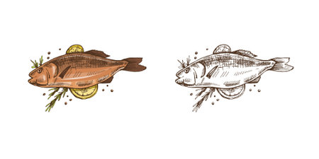 Hand-drawn colored and monochrome vector sketch of barbecue fish. Doodle vintage illustration. Decorations for the menu of cafes and labels. Engraved image.のイラスト素材