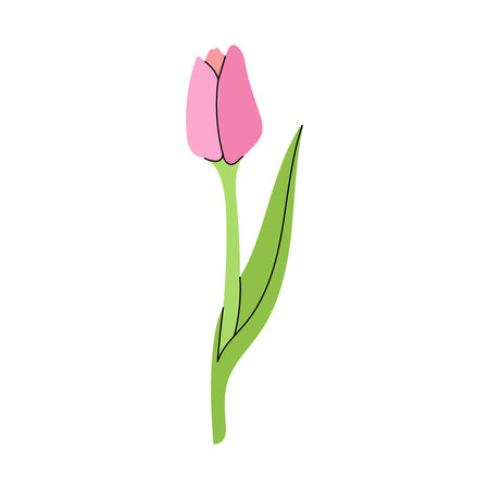 Vector flat style flower Illustration. Tulip sketch. Back to School.のイラスト素材