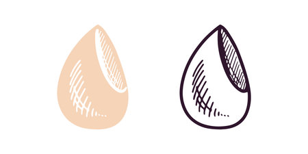 Doodle flat style sponge, beauty cosmetic element, self care. Illustration for beauty salon, cosmetic store, makeup design. Doodle sketch style.のイラスト素材