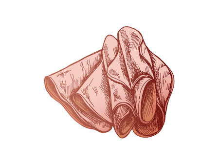 Hand-drawn colored vector sketch of pork meat, ham slice, prosciutto vintage sketch. Butcher shop. Great for label, restaurant menu. Engraved image.のイラスト素材