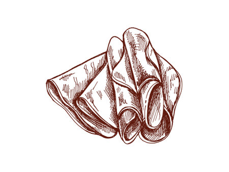Hand-drawn monochrome vector sketch of pork meat, ham slice, prosciutto vintage sketch. Butcher shop.のイラスト素材