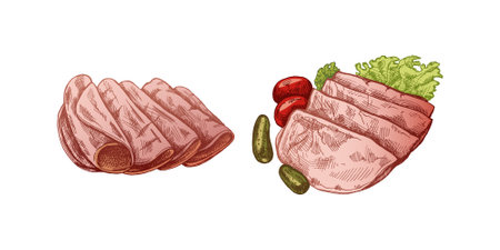 Hand-drawn colored vector sketch of pork meat, ham slice, prosciutto vintage sketch. Butcher shop. Great for label, restaurant menu. Engraved image.のイラスト素材