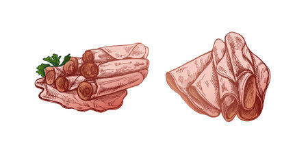 Hand-drawn colored vector sketch of pork meat, ham slice, prosciutto vintage sketch. Butcher shop. Great for label, restaurant menu. Engraved image.のイラスト素材