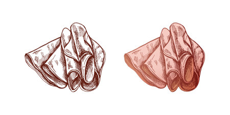 Hand-drawn colored and monochrome vector sketch of pork meat, ham slice, prosciutto vintage sketch. Butcher shop. Great for label, restaurant menu. Engraved image.のイラスト素材