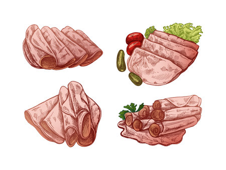 Hand-drawn colored vector sketch of pork meat, ham slice, prosciutto vintage sketch. Butcher shop. Great for label, restaurant menu. Engraved image.のイラスト素材