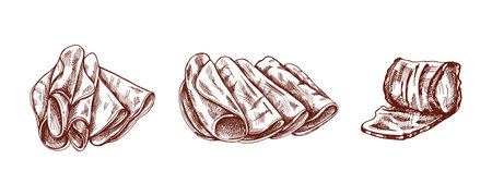Hand-drawn monochrome vector sketch of pork meat, ham slice, prosciutto vintage sketch. Butcher shop.のイラスト素材