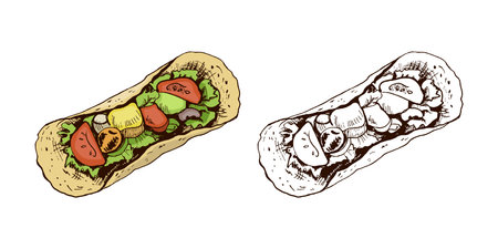 Taco top view. Hand-drawn colored and monochrome sketch of taco on white background. Fast food vintage illustration. Element for the design of labels, packaging and postcardsのイラスト素材