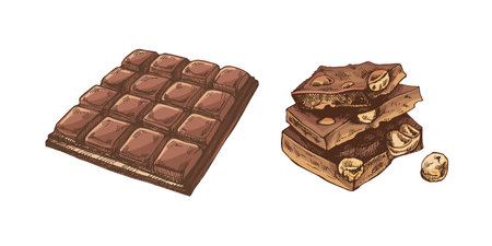 Hand-drawn chocolate bar and nut pieces vintage colored illustrationのイラスト素材