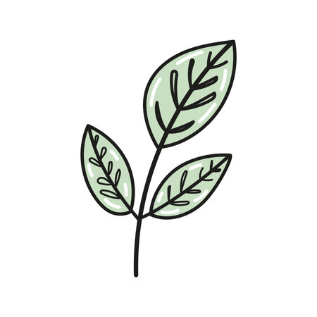Hand-drawn branch with green leaves doodle and flat illustrationのイラスト素材