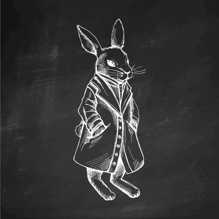 Hand drawn vintage sketch of anthropomorphic rabbit in coat on chalk backgroundのイラスト素材