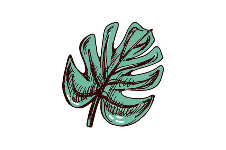 Hand-drawn tropical monstera leaf in green and brown tones in vintage engraved styleのイラスト素材