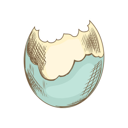Hand-drawn colored sketch of a broken eggshell. Easter Holiday. Vector illustration. Drawing isolated on white background. Vintage element.のイラスト素材