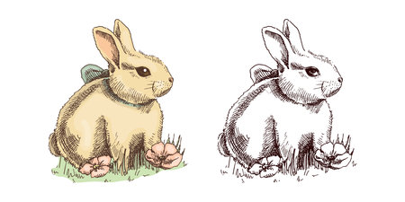 Hand-drawn vintage sketch of colored and black bunnys. Easter Holiday. Rabbits with a bow in grass and flowers.のイラスト素材