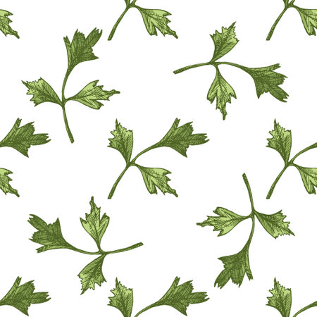 Elegant colored seamless pattern featuring detailed parsley sprigs in hand drawn vintage style. Ideal for food packaging, organic product branding, culinary backgrounds, and natural-themed textile designs.のイラスト素材