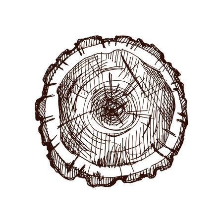 Monochrome hand drawn sketch of a wooden log cross section with visible growth rings. Vintage stump illustration in engraving style. Perfect for rustic designs, forestry, camping, or nature themes.のイラスト素材
