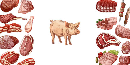 Meat menu colored template in engraved vintage style. Hand-drawn sketches of barbecue meat pieces with herbs and seasonings. Background for meat restaurant.のイラスト素材