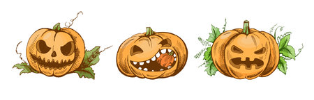 Hand drawn vintage Halloween pumpkins with carved funny and scary faces and green leaves, perfect for seasonal decor, invitations, stickers, party designs, posters, and autumn celebration illustrations.のイラスト素材