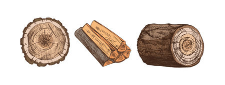 Detailed color ink drawing of cut wood, log and stump in vintage hand drawn style with hatching, engraving lines and rustic texture.のイラスト素材