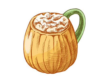 Hand drawn vintage sketch of pumpkin mug with hot autumn drink and whipped cream. Detailed colored halloween festive illustration for thanksgiving, cafe menu, seasonal decoration and cozy holiday design.のイラスト素材