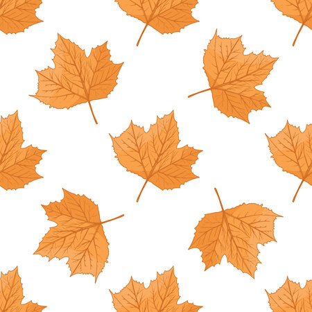 Hand drawn vintage seamless pattern of orange maple leaves, perfect for autumn, thanksgiving, harvest, rustic countryside and seasonal holiday decoration projects.のイラスト素材