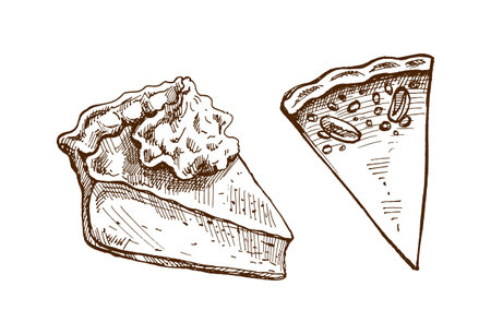 Hand drawn vintage pumpkin pie slices set with one decorated by whipped cream and one plain, monochrome version, traditional autumn holiday dessert illustration for thanksgiving and bakery design.のイラスト素材