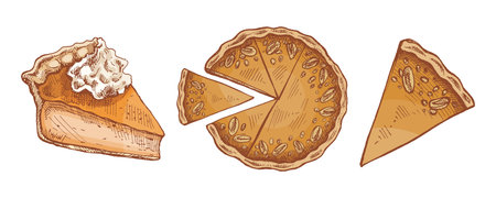 Vintage pumpkin pie set with slice, whole tart and dessert piece topped with whipped cream. Retro hand drawn sketch style for autumn, thanksgiving and festive food design isolated vector illustration.のイラスト素材