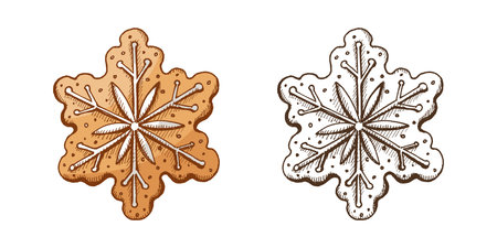 Vector set of gingerbread snowflake cookies with icing, hand drawn vintage sketch, includes colored and monochrome version, perfect for holiday, Christmas and winter festive design projects.のイラスト素材