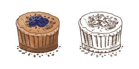 Hand drawn vintage illustration set of blueberry muffin cupcake dessert with crumbs in color and monochrome version. Perfect for bakery design, packaging, textile, wrapping paper, cafe menu and sweet-themed projects.のイラスト素材