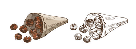 Vector illustration of roasted chestnuts in paper cone in hand drawn vintage style. Includes color and monochrome version. Great for autumn, winter and holiday season food designs and packaging.のイラスト素材