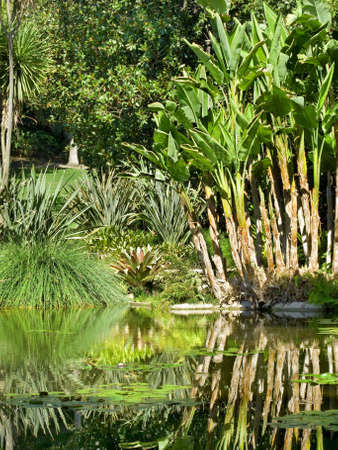 Tropical Lagoonの写真素材